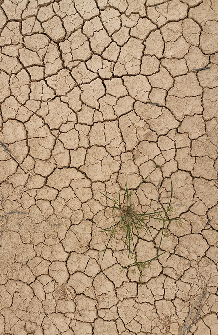 Uzman Klinik Psikolog Ebru Kaya Güney