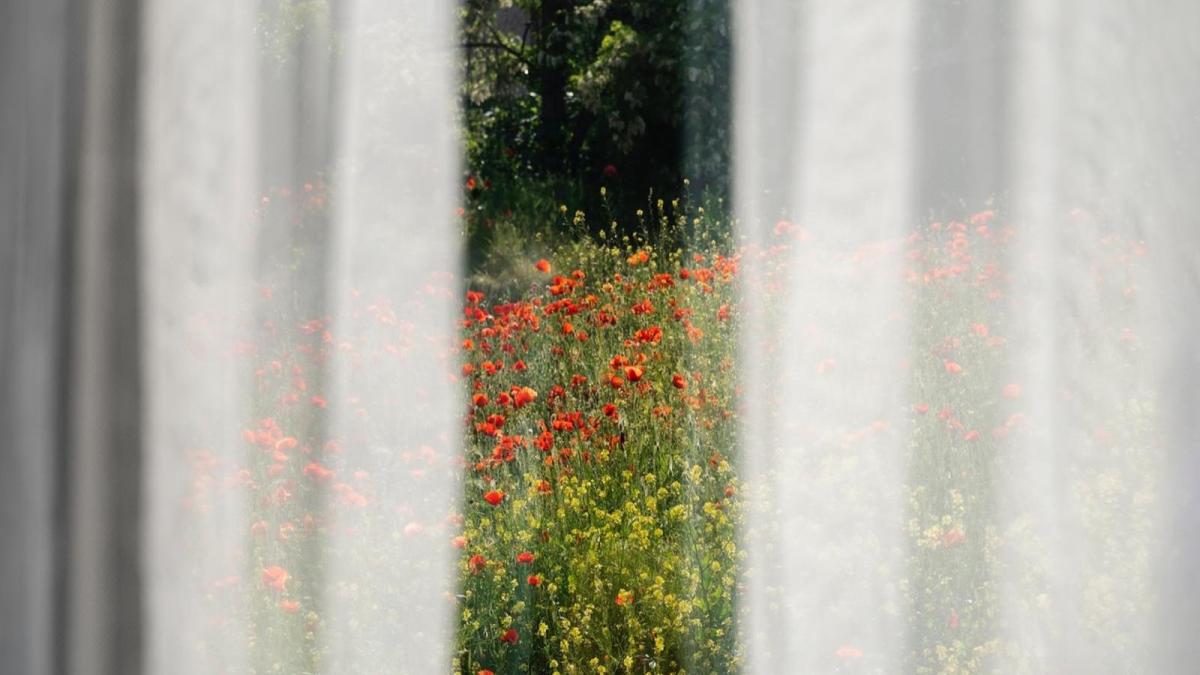 Stres ve Kaygıyı Yenmek: Doğal ve Etkili Yöntemler